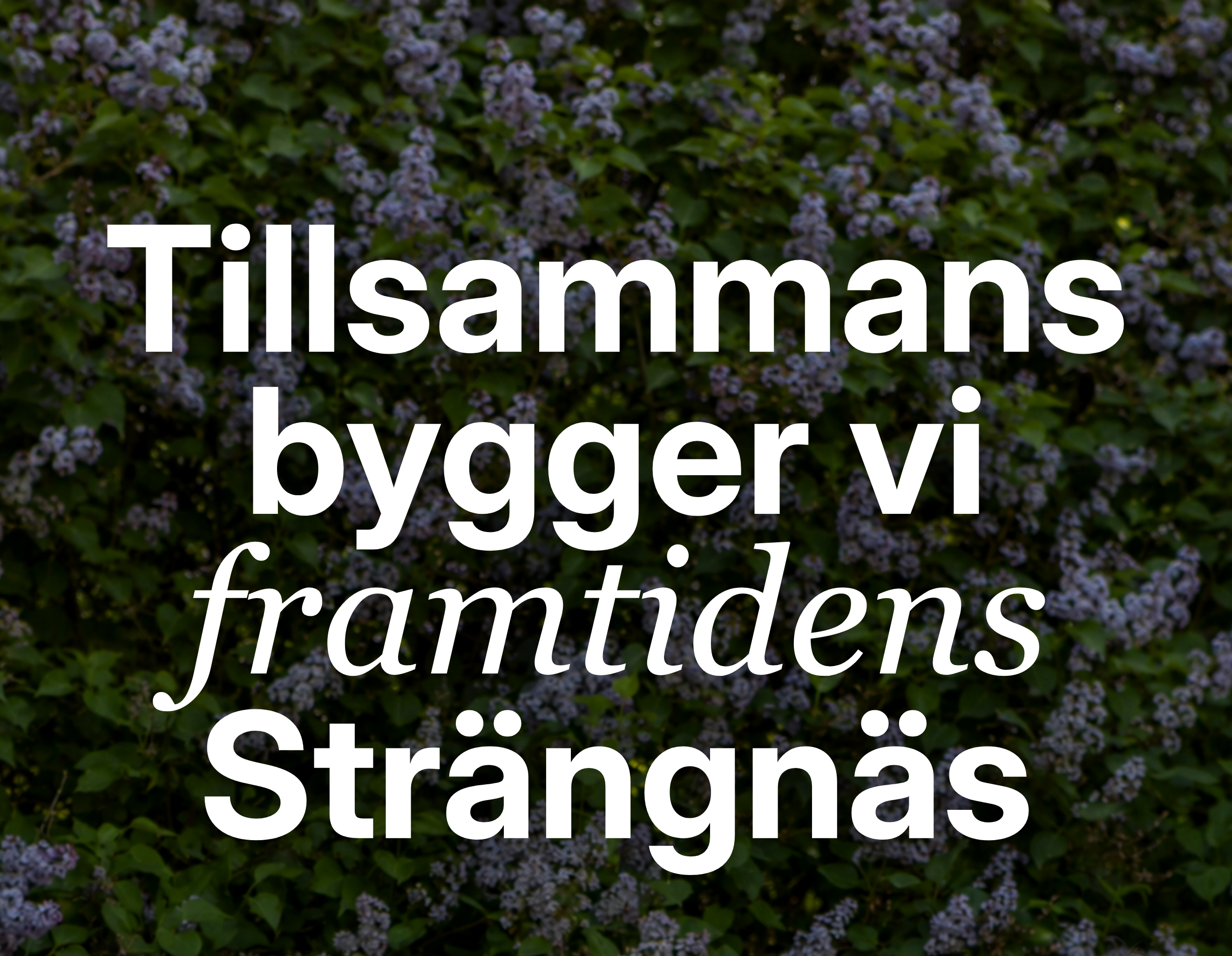 Stadsliv i Strängnäs kommun